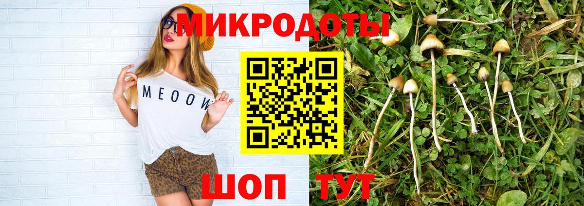 Псилоцибиновые грибы Magic Shrooms Прохладный